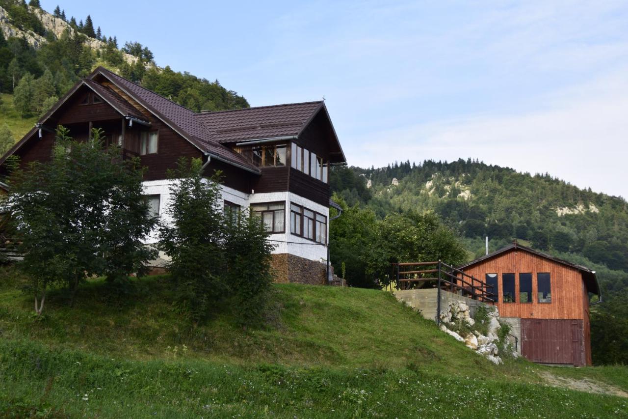 Hotel Cabana Colnic Măgura Zewnętrze zdjęcie