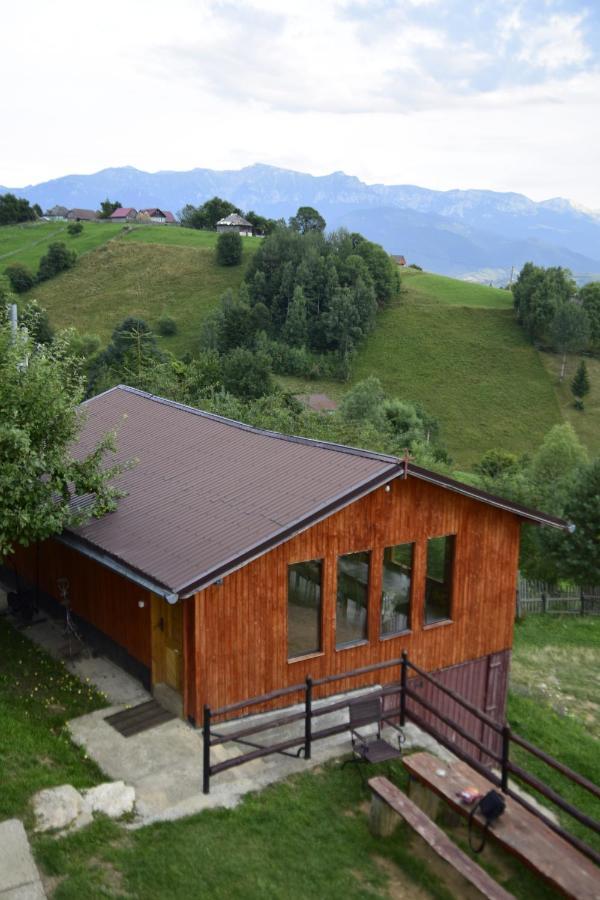 Hotel Cabana Colnic Măgura Zewnętrze zdjęcie