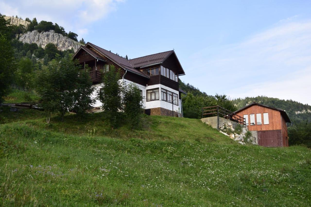 Hotel Cabana Colnic Măgura Zewnętrze zdjęcie